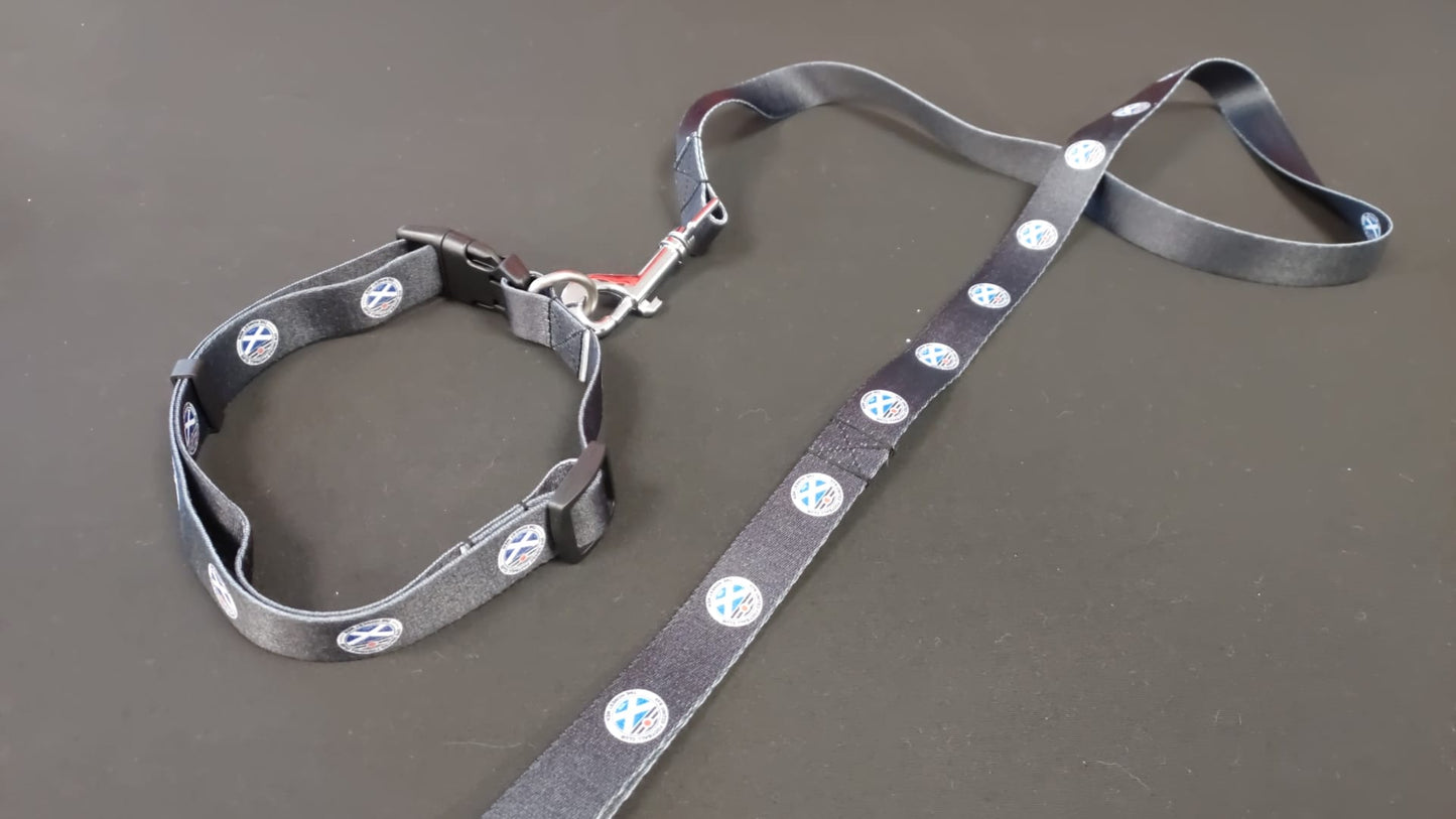 Dog Lead and Collar